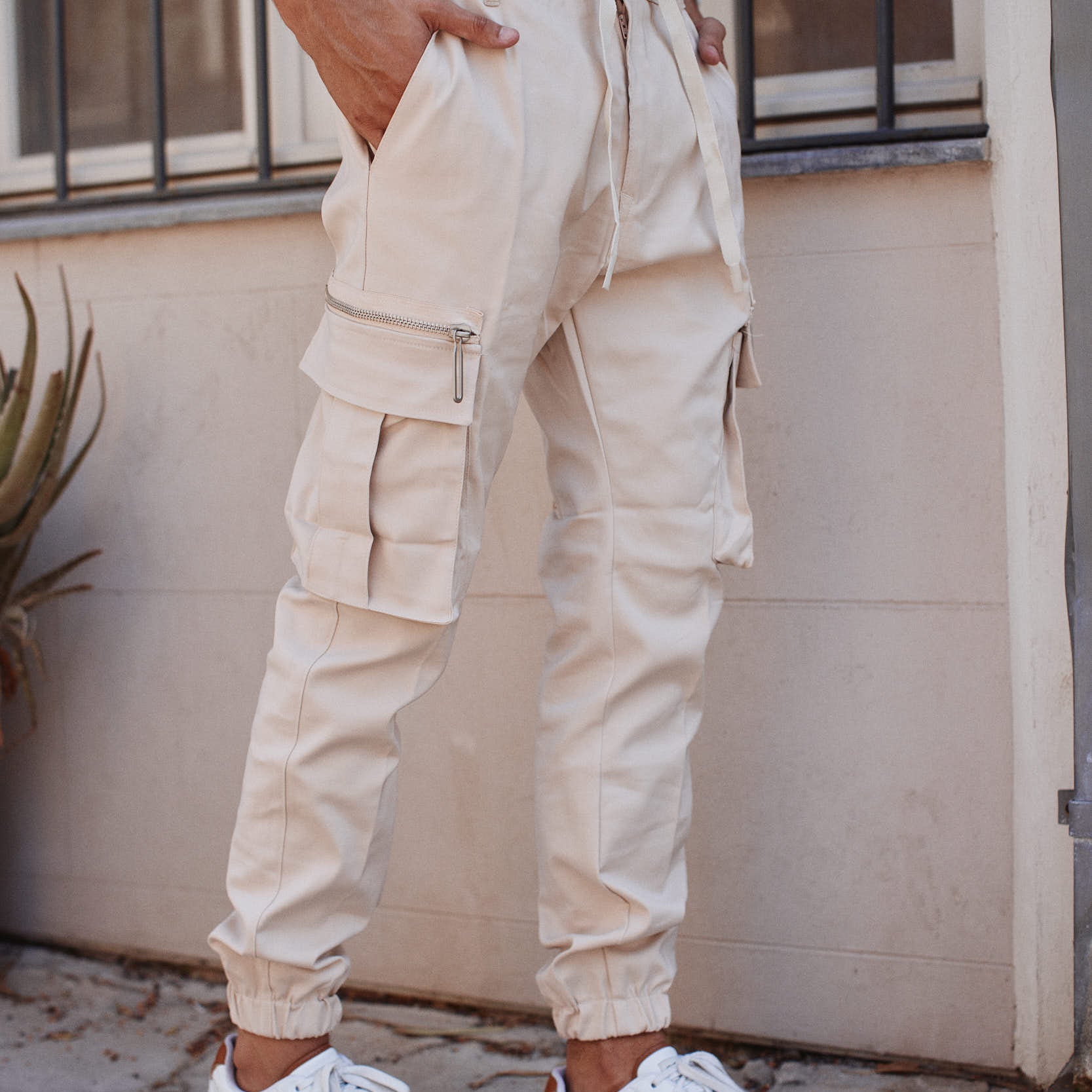 דגמח ניו יורק